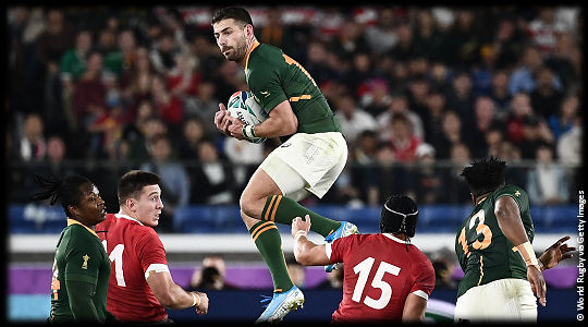 Wales v South Africa Willie le Roux RWC2019